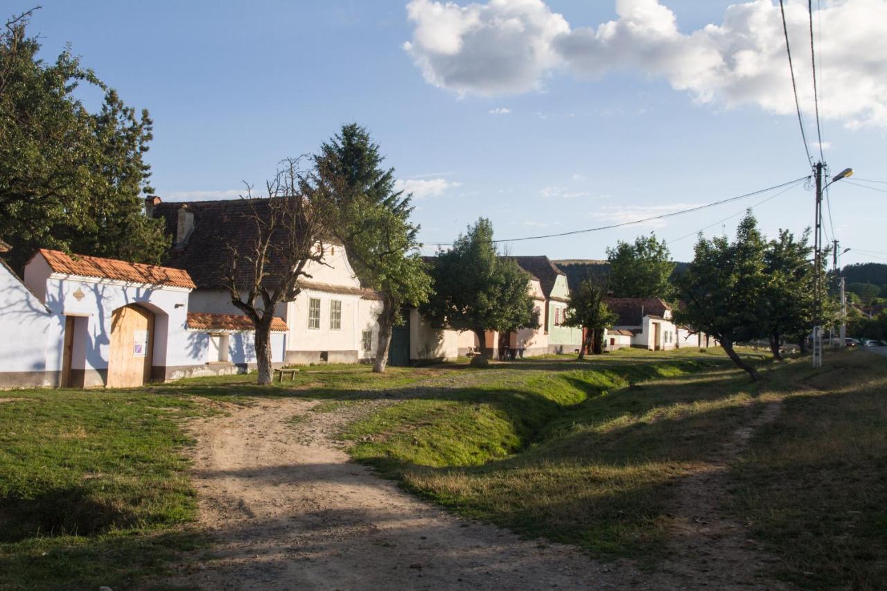 Viscri 9 Guest House Bagian luar foto