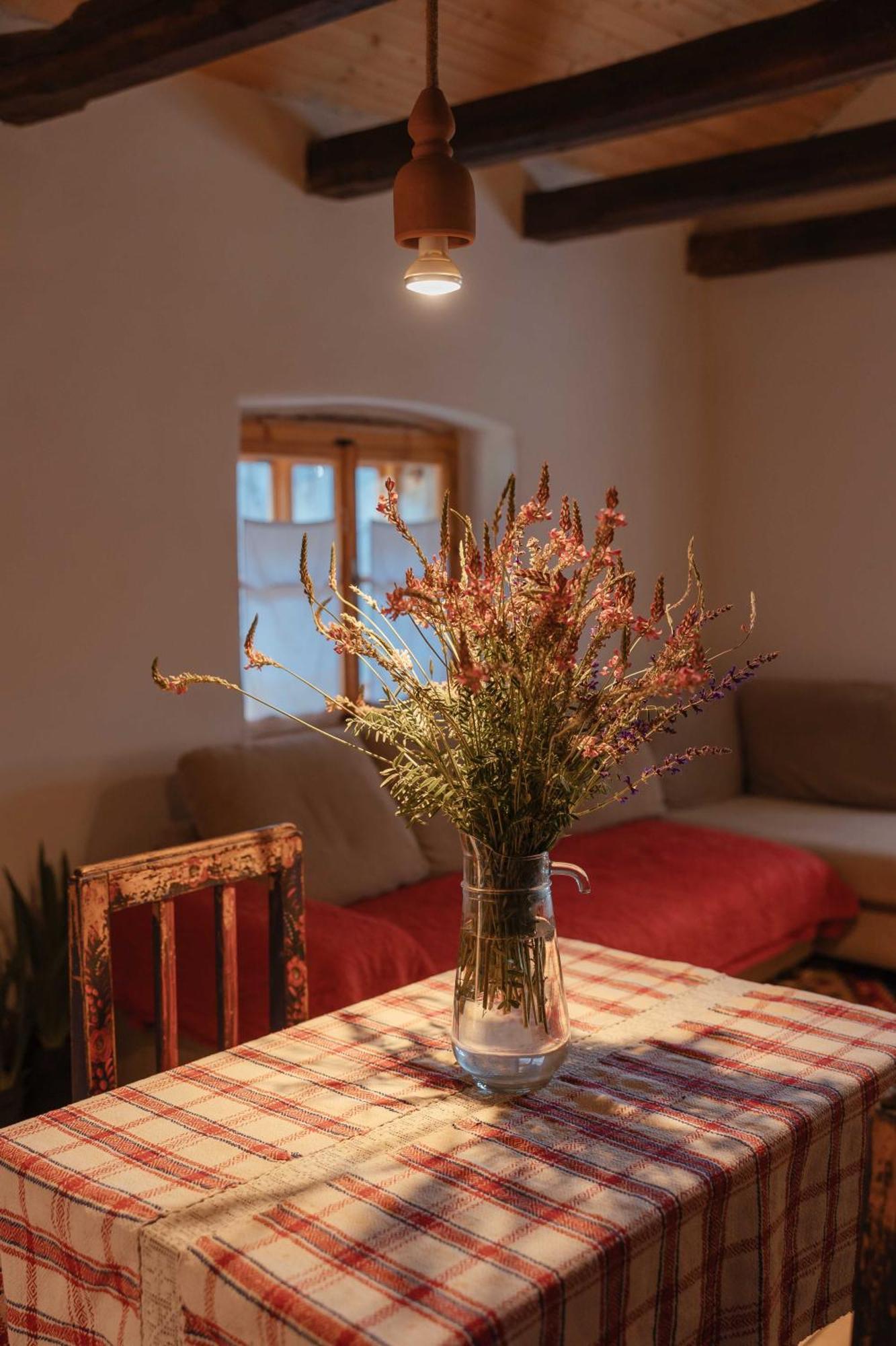 Viscri 9 Guest House Bagian luar foto